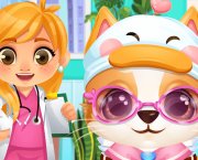 Doc HoneyBerry Puppy Surgery