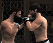 Undisputed MMA